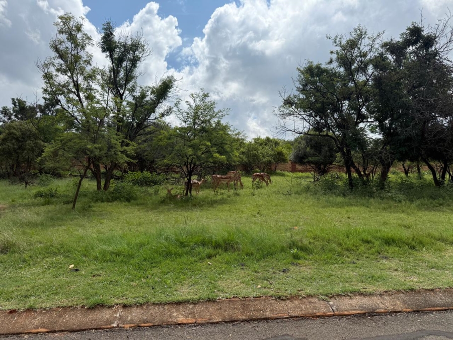 0 Bedroom Property for Sale in Buffelspoort Eco Estate North West